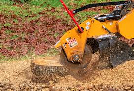 Best Tree Trimming and Pruning  in Bad Axe, MI